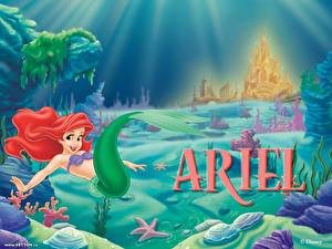 Bilder Disney Arielle, die Meerjungfrau