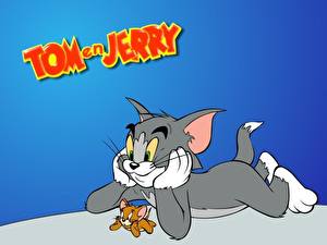 Hintergrundbilder Tom and Jerry Zeichentrickfilm