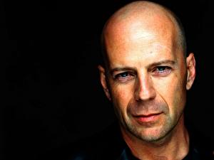 Wallpapers Bruce Willis Bald Celebrities