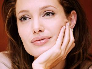 Bakgrundsbilder på skrivbordet Angelina Jolie Kändisar