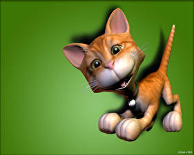 Images Cats Colored background 3D Graphics