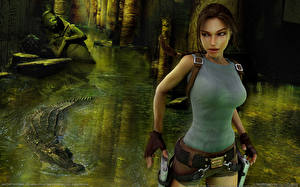 Tapety na pulpit Tomb Raider Tomb Raider Anniversary