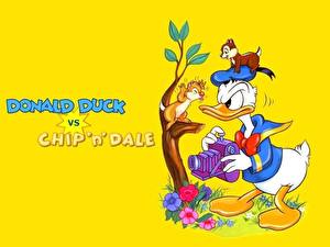 Bureaubladachtergronden Disney Knabbel en Babbel Donald Duck