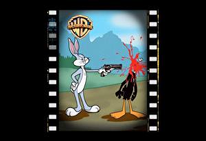 Photo Bugs Bunny Cartoons