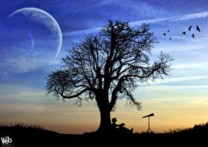 Bureaubladachtergronden Vectorafbeelding Silhouetten Een boom Natuur