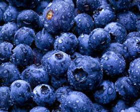 桌面壁纸，，水果，蓝莓，浆果，水滴，食品