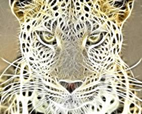 Wallpaper Big cats Leopards Painting Art animal