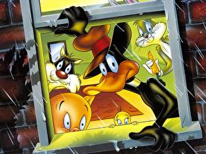 Hintergrundbilder Daffy Duck Animationsfilm
