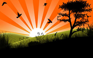 Picture Vector Graphics Nature