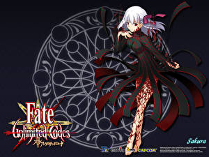 Tapety na pulpit Fate/Unlimited Codes