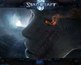 Bakgrundsbilder på skrivbordet StarCraft StarCraft 2 Datorspel