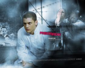 Wallpaper Prison Break Wentworth Miller Movies