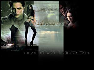 Bakgrundsbilder på skrivbordet The Twilight Saga Twilight
