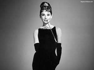 Tapety na pulpit Audrey Hepburn