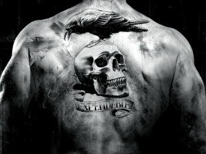 Picture Skulls Human back The Expendables Movies