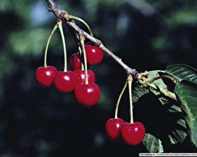 Image Fruit Cherry Food