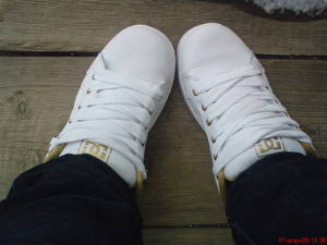 Photo Plimsoll shoe Shoelaces
