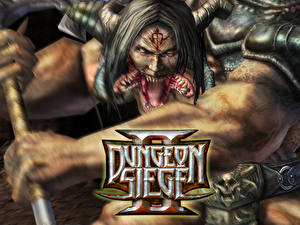 Pictures Dungeon Siege