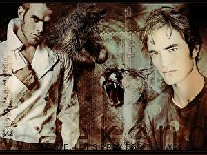 Bakgrundsbilder på skrivbordet The Twilight Saga Twilight Robert Pattinson