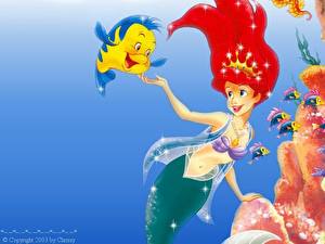 Hintergrundbilder Disney Arielle, die Meerjungfrau Zeichentrickfilm