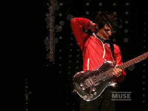 Pictures Muse