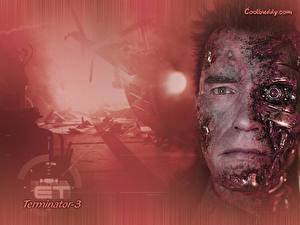 Bilder Terminator (Film) Terminator 3 – Rebellion der Maschinen