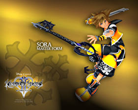 Bakgrundsbilder på skrivbordet Kingdom Hearts dataspel