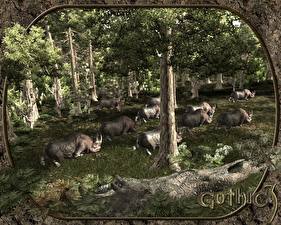 Bakgrunnsbilder Gothic videospill