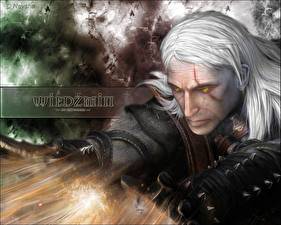 Bureaubladachtergronden The Witcher Geralt of Rivia computerspel