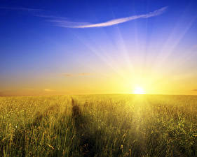 Picture Sunrises and sunsets Fields Sun Nature