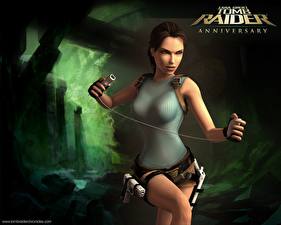 Tapety na pulpit Tomb Raider Tomb Raider Anniversary