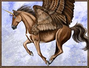 Bakgrunnsbilder Magiske dyr Pegasus Enhjørning Fantasy