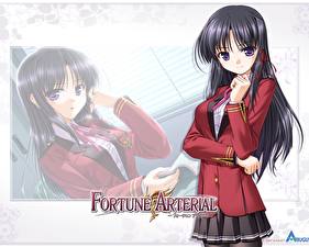 Images Fortune Arterial