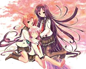Sfondi desktop Sakura Musubi Anime
