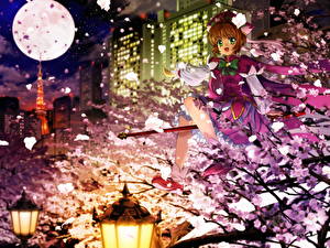 Bakgrundsbilder på skrivbordet Cardcaptor Sakura