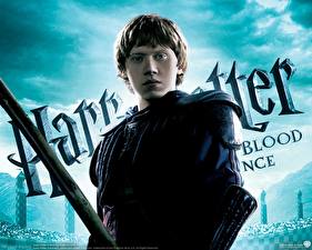 Papel de Parede Desktop Harry Potter Harry Potter e o Príncipe Misterioso Rupert Grint