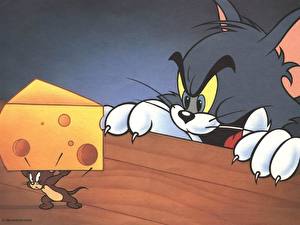 Bakgrunnsbilder Tom og Jerry Tegnefilm
