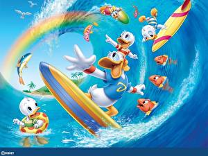 Fonds d'écran Disney Donald Duck