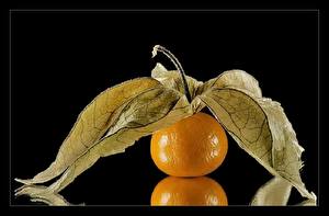 Bakgrundsbilder på skrivbordet Frukt Citrusfrukter