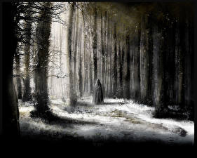 Bilder Wälder Gothic Fantasy Bäume Fantasy