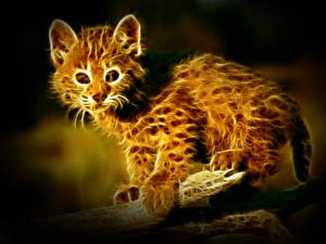 Sfondi desktop Pantherinae Disegnate Cuccioli di animali animale