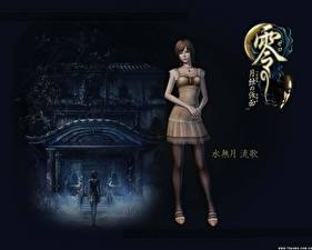 Photo Fatal Frame vdeo game
