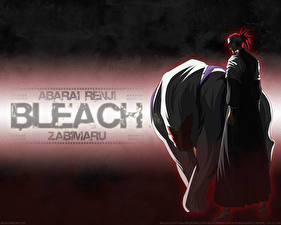 Papel de Parede Desktop Bleach: Memories of Nobody Anime