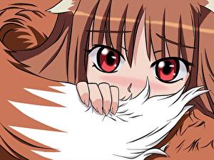 Wallpaper Spice and Wolf