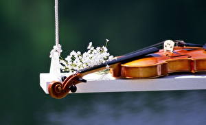 Bakgrunnsbilder Musikkinstrument Fiolin