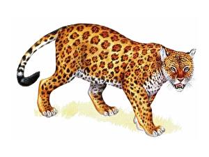 Bakgrundsbilder på skrivbordet Pantherinae Målade Djur