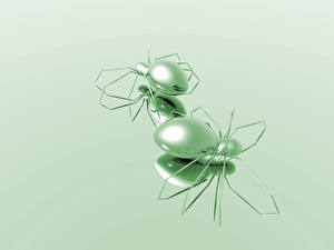 Bakgrundsbilder på skrivbordet Spindlar Insekter 3D grafik