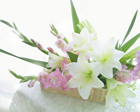 Bakgrundsbilder på skrivbordet Buketter Liljor blomma