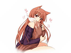 Photo Spice and Wolf