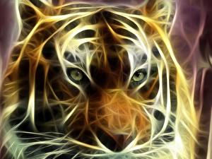Sfondi desktop Pantherinae Tigri Disegnate animale